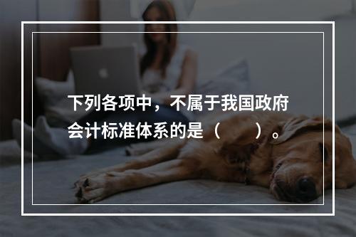 下列各项中，不属于我国政府会计标准体系的是（　　）。