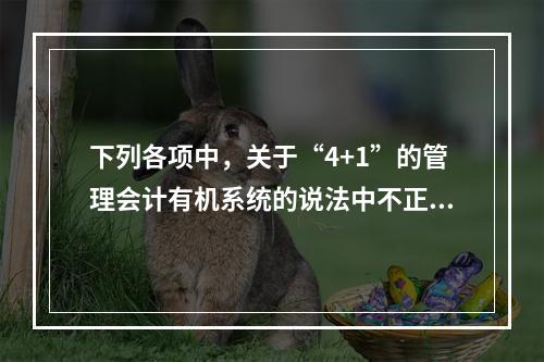 下列各项中，关于“4+1”的管理会计有机系统的说法中不正确的