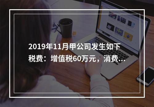 2019年11月甲公司发生如下税费：增值税60万元，消费税8