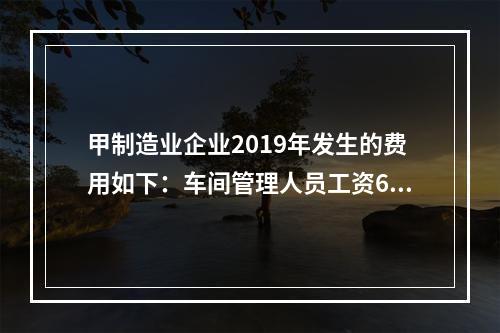 甲制造业企业2019年发生的费用如下：车间管理人员工资60万