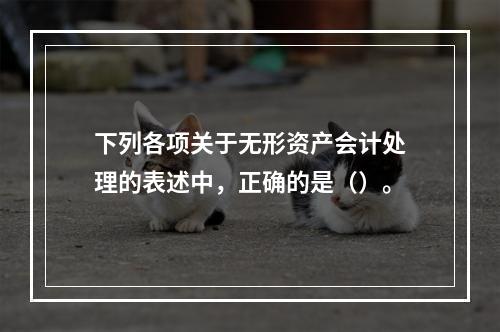 下列各项关于无形资产会计处理的表述中，正确的是（）。