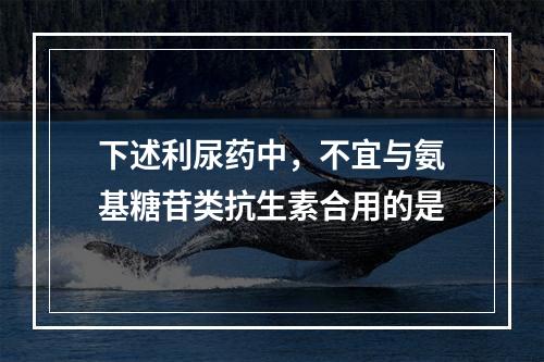 下述利尿药中，不宜与氨基糖苷类抗生素合用的是