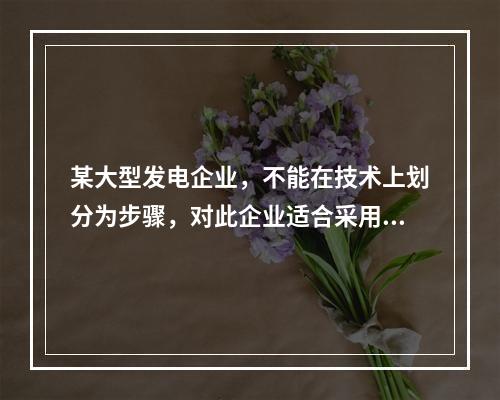 某大型发电企业，不能在技术上划分为步骤，对此企业适合采用的成