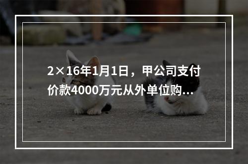 2×16年1月1日，甲公司支付价款4000万元从外单位购得一