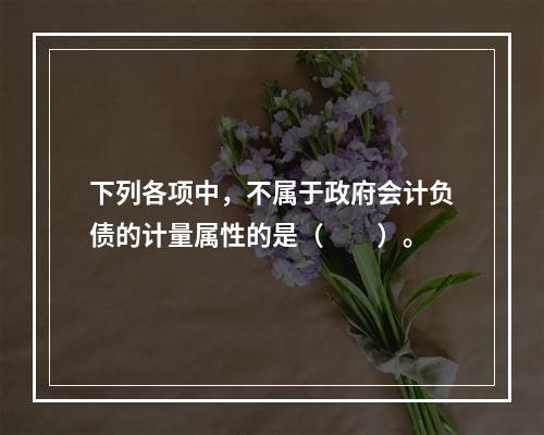 下列各项中，不属于政府会计负债的计量属性的是（　　）。