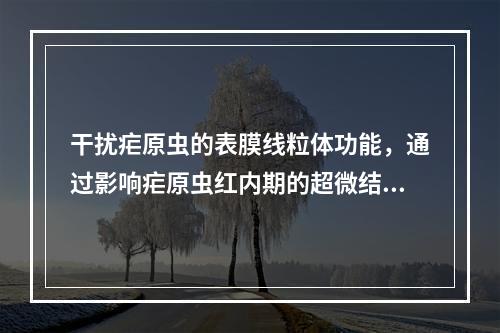 干扰疟原虫的表膜线粒体功能，通过影响疟原虫红内期的超微结构，