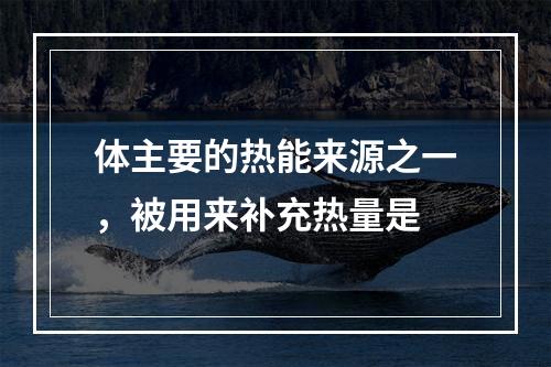 体主要的热能来源之一，被用来补充热量是