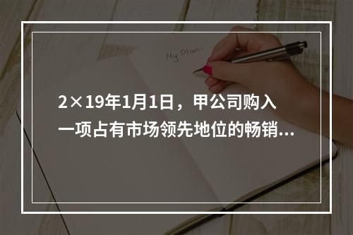 2×19年1月1日，甲公司购入一项占有市场领先地位的畅销产品