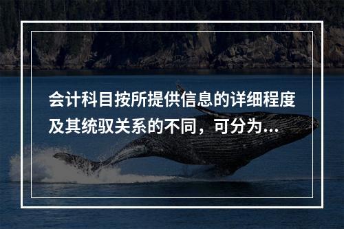 会计科目按所提供信息的详细程度及其统驭关系的不同，可分为（