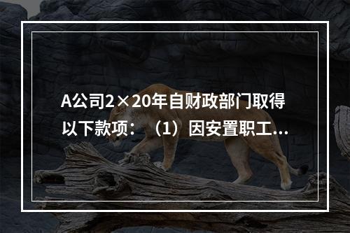 A公司2×20年自财政部门取得以下款项：（1）因安置职工再就