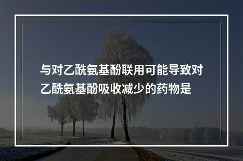 与对乙酰氨基酚联用可能导致对乙酰氨基酚吸收减少的药物是