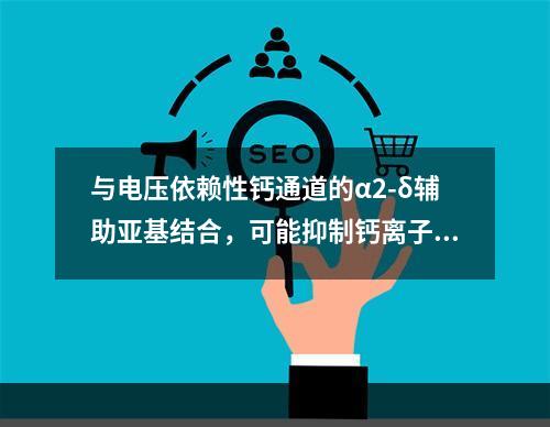 与电压依赖性钙通道的α2-δ辅助亚基结合，可能抑制钙离子内流