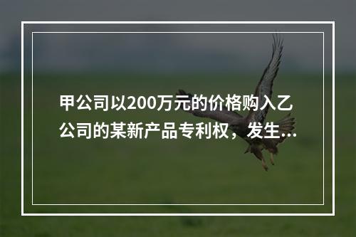 甲公司以200万元的价格购入乙公司的某新产品专利权，发生相关