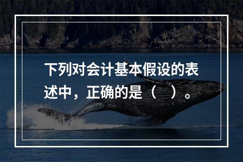 下列对会计基本假设的表述中，正确的是（　）。