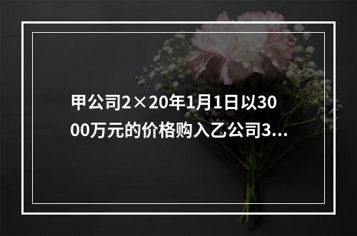 甲公司2×20年1月1日以3000万元的价格购入乙公司30％