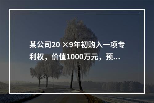 某公司20 ×9年初购入一项专利权，价值1000万元，预计使