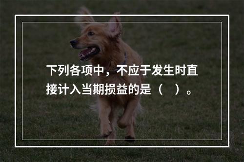 下列各项中，不应于发生时直接计入当期损益的是（　）。