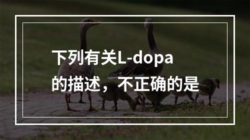 下列有关L-dopa的描述，不正确的是