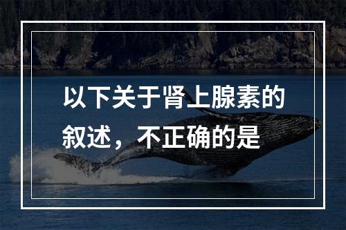 以下关于肾上腺素的叙述，不正确的是