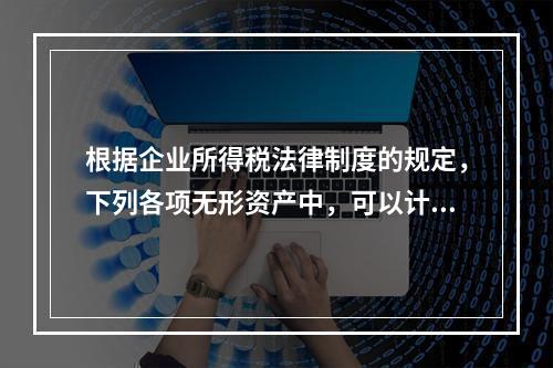 根据企业所得税法律制度的规定，下列各项无形资产中，可以计算摊