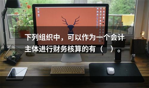 下列组织中，可以作为一个会计主体进行财务核算的有（　）。