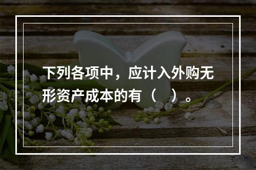 下列各项中，应计入外购无形资产成本的有（　）。