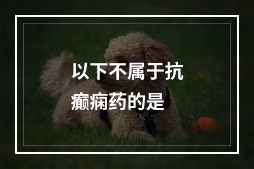 以下不属于抗癫痫药的是