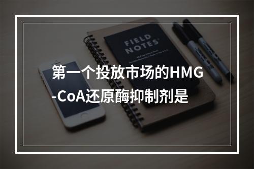 第一个投放市场的HMG-CoA还原酶抑制剂是