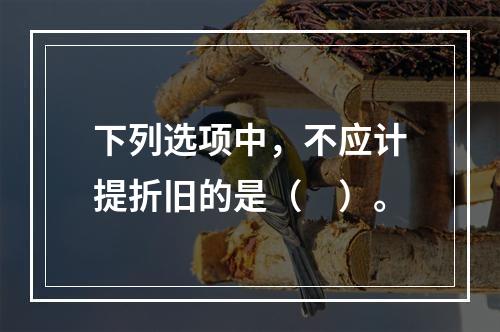 下列选项中，不应计提折旧的是（　）。