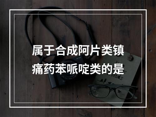 属于合成阿片类镇痛药苯哌啶类的是