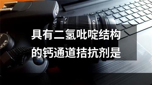 具有二氢吡啶结构的钙通道拮抗剂是