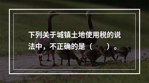 下列关于城镇土地使用税的说法中，不正确的是（　　）。