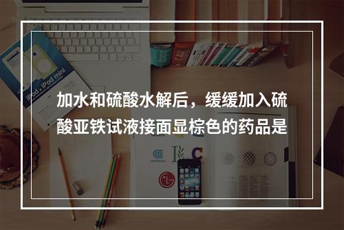 加水和硫酸水解后，缓缓加入硫酸亚铁试液接面显棕色的药品是