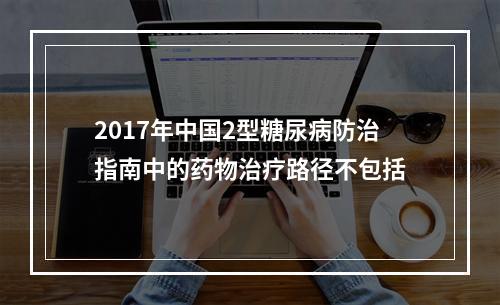 2017年中国2型糖尿病防治指南中的药物治疗路径不包括