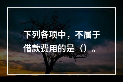 下列各项中，不属于借款费用的是（）。