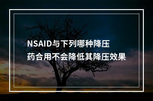 NSAID与下列哪种降压药合用不会降低其降压效果