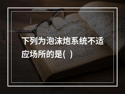 下列为泡沫炮系统不适应场所的是(  )