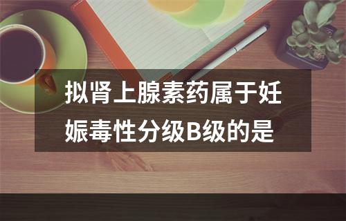 拟肾上腺素药属于妊娠毒性分级B级的是