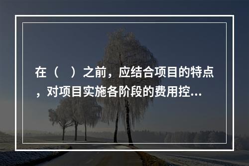 在（　）之前，应结合项目的特点，对项目实施各阶段的费用控制、