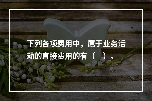 下列各项费用中，属于业务活动的直接费用的有（　）。