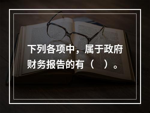 下列各项中，属于政府财务报告的有（　）。