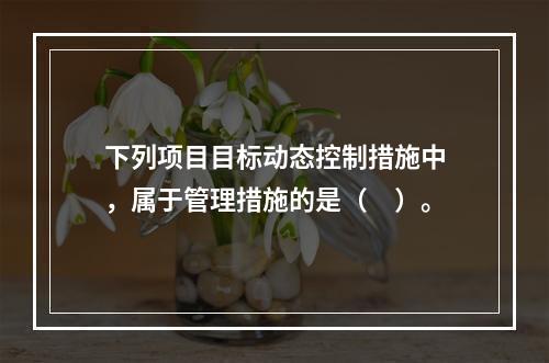 下列项目目标动态控制措施中，属于管理措施的是（　）。