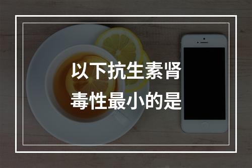 以下抗生素肾毒性最小的是