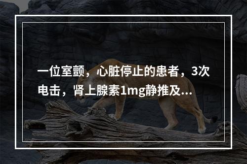 一位室颤，心脏停止的患者，3次电击，肾上腺素1mg静推及第