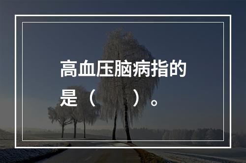 高血压脑病指的是（　　）。