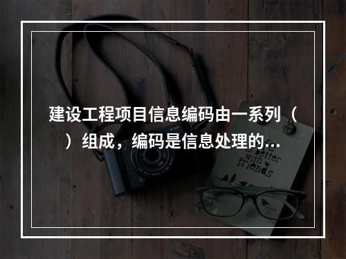 建设工程项目信息编码由一系列（　）组成，编码是信息处理的一项