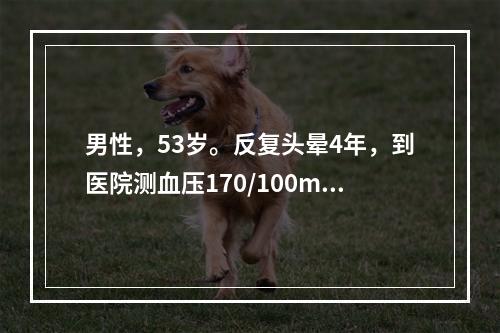 男性，53岁。反复头晕4年，到医院测血压170/100mm