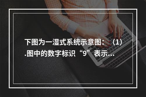 下图为一湿式系统示意图：（1）.图中的数字标识“9”表示什么