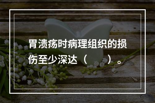 胃溃疡时病理组织的损伤至少深达（　　）。