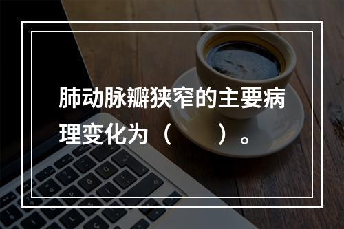 肺动脉瓣狭窄的主要病理变化为（　　）。